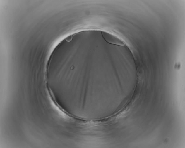 X0000091461527200709061746