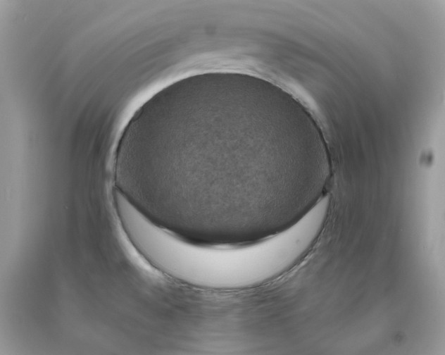 X0000091461528200709061746