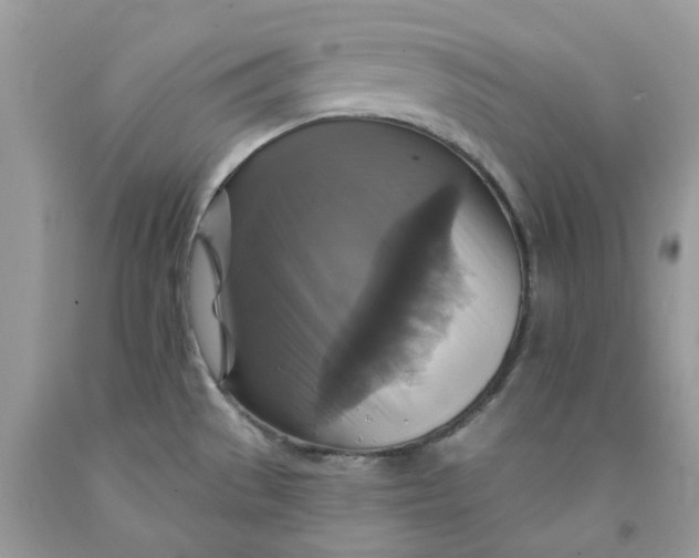 X0000091461529200709061746