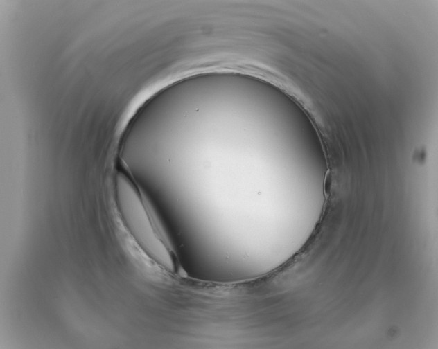 X0000091461530200709061746