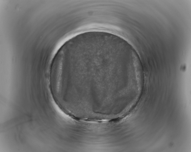 X0000091461531200709061746