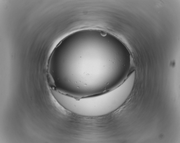 X0000091461532200709061746