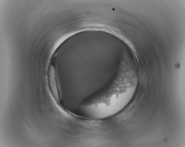 X0000091461533200709061746