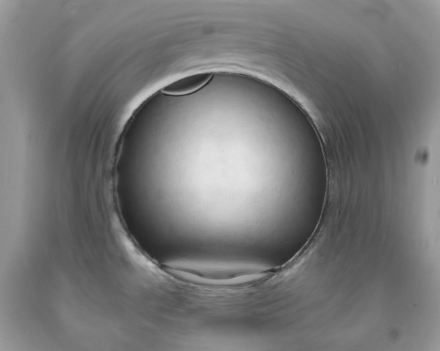 X0000091461534200709061746