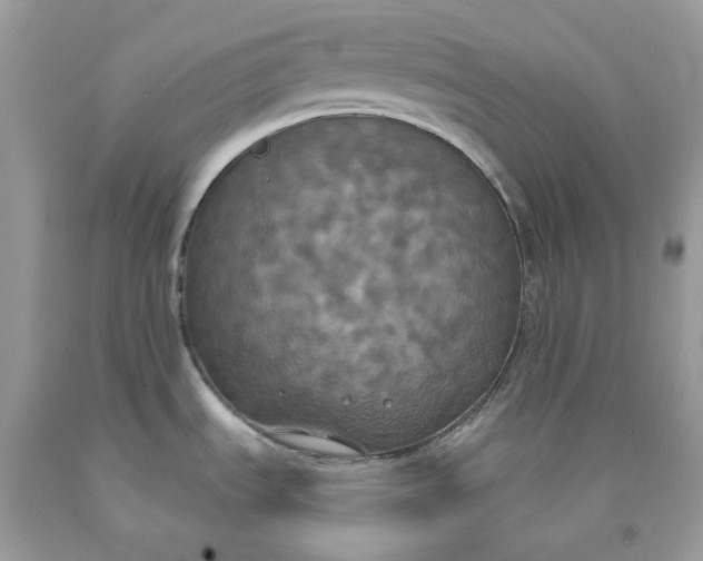 X0000091461535200709061746