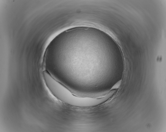 X0000091461536200709061746