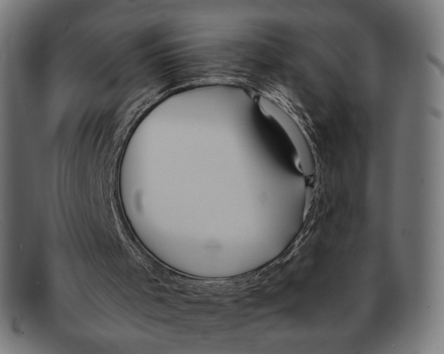 X0000091460001200709131742