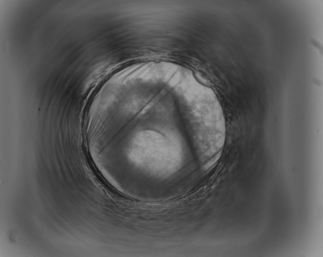 X0000091460002200709131742