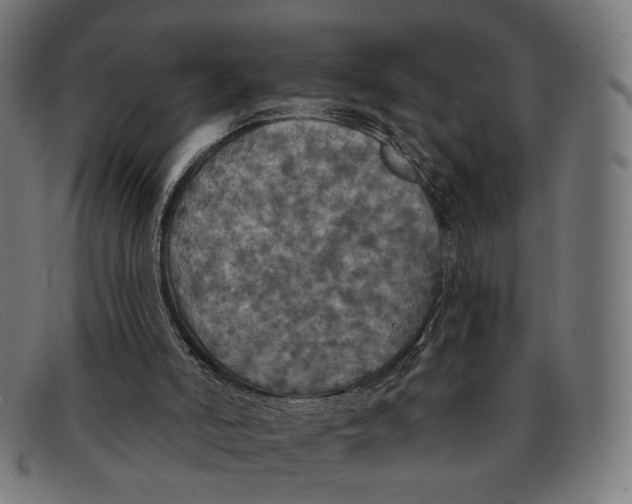 X0000091460006200709131742