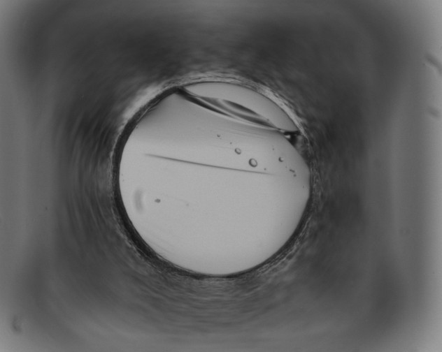 X0000091460008200709131742