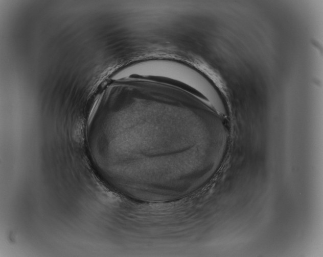 X0000091460009200709131742