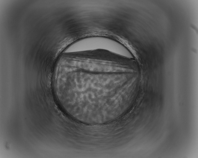 X0000091460010200709131742