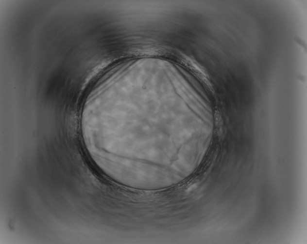 X0000091460012200709131742