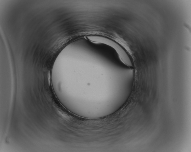 X0000091460013200709131742