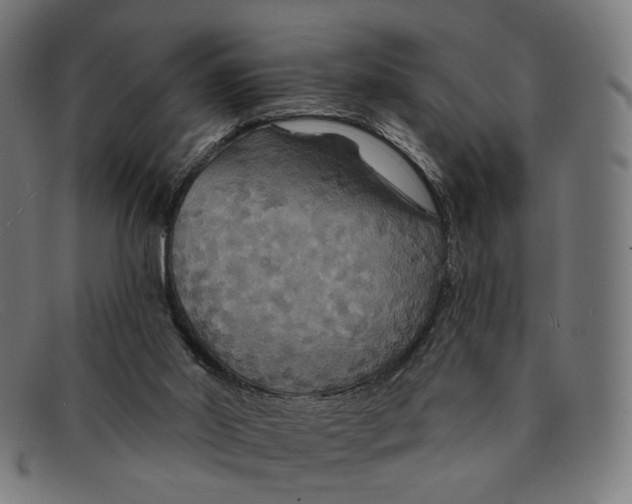 X0000091460014200709131742