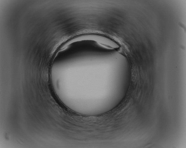 X0000091460015200709131742