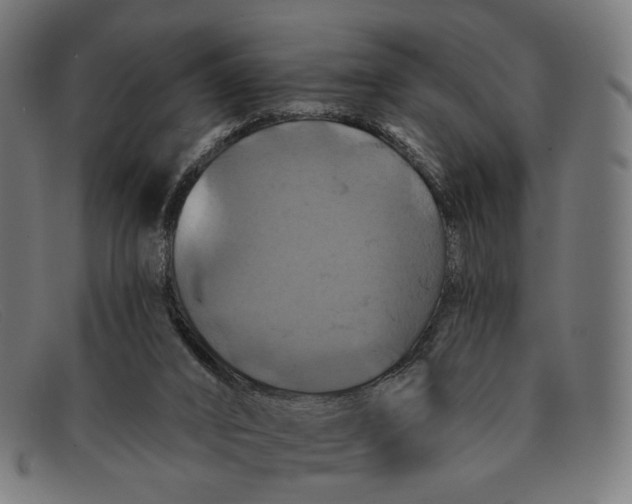 X0000091460016200709131742