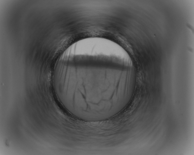X0000091460018200709131742