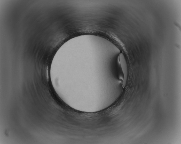 X0000091460020200709131742