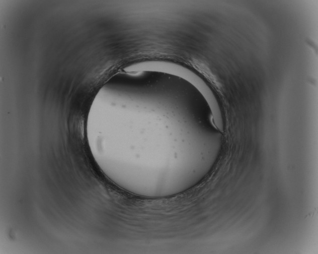 X0000091460021200709131742