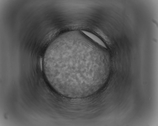 X0000091460022200709131742