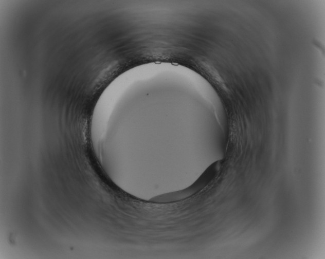 X0000091460023200709131742