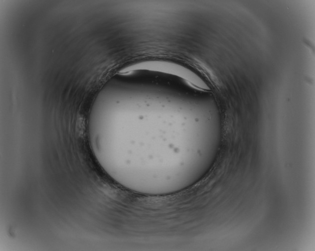 X0000091460025200709131742