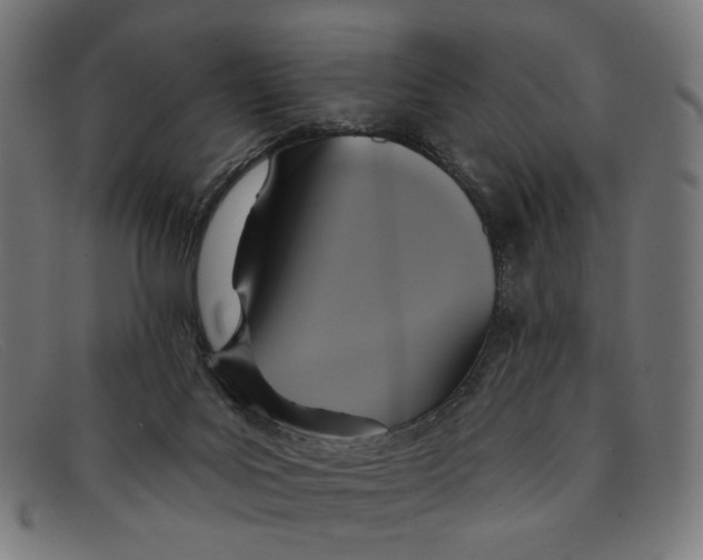 X0000091460027200709131742