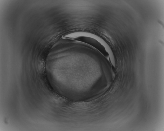 X0000091460029200709131742
