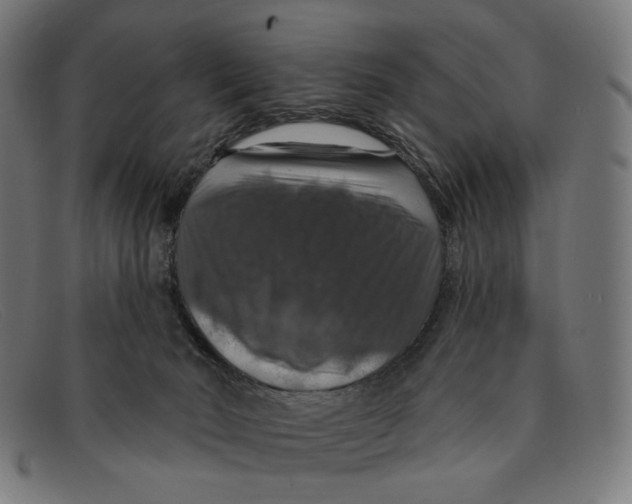 X0000091460030200709131742