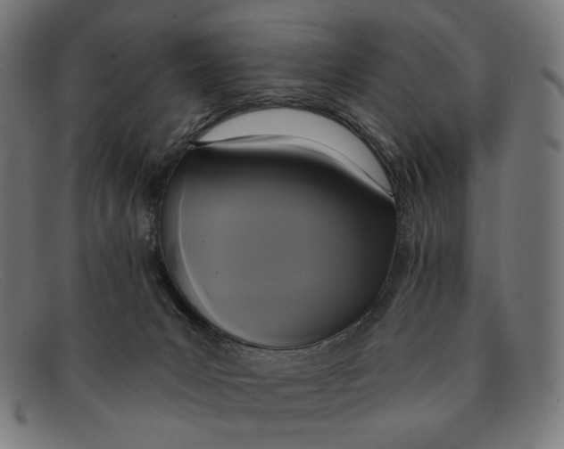 X0000091460031200709131742
