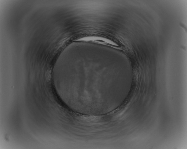 X0000091460032200709131742