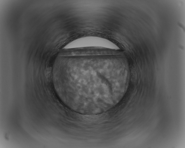 X0000091460034200709131742