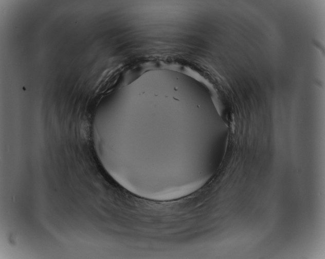 X0000091460035200709131742
