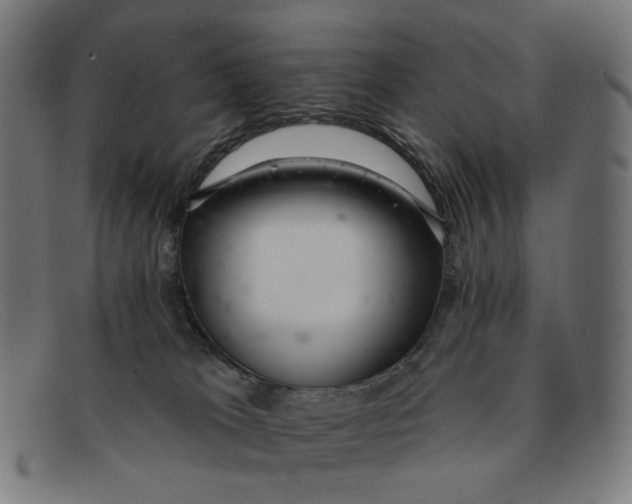 X0000091460037200709131742