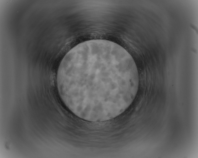 X0000091460038200709131742