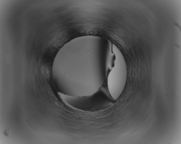 X0000091460039200709131742