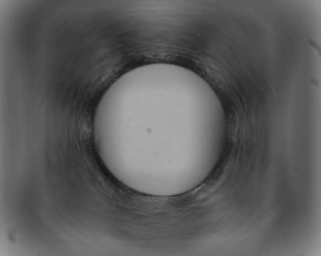 X0000091460040200709131742