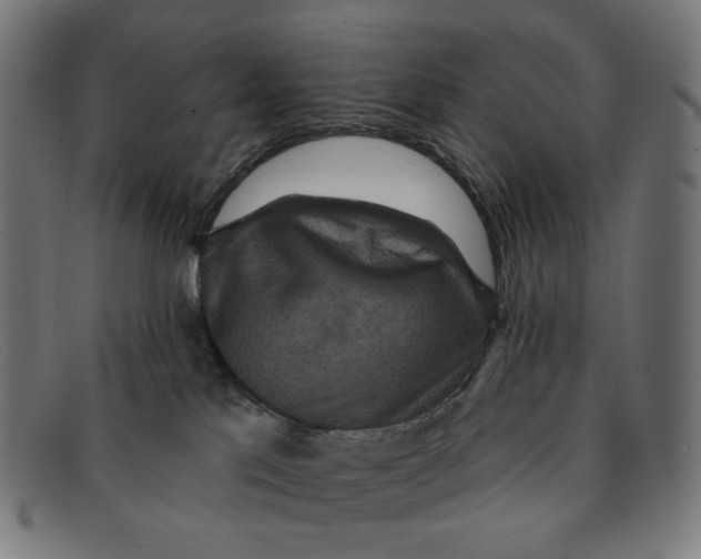 X0000091460041200709131742