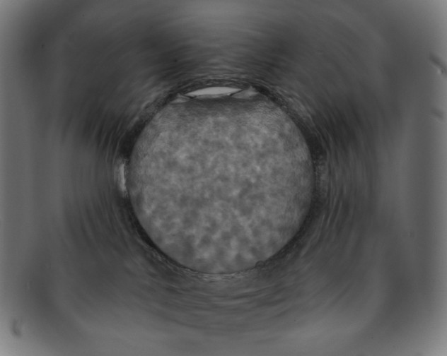 X0000091460042200709131742