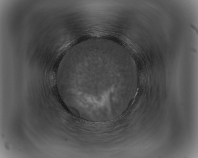 X0000091460043200709131742