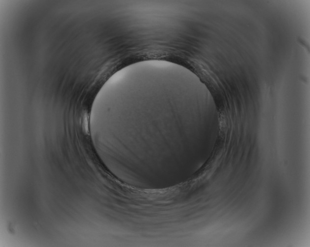 X0000091460046200709131742