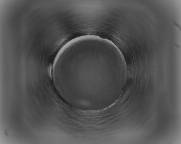 X0000091460047200709131742