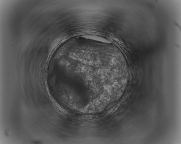 X0000091460049200709131741