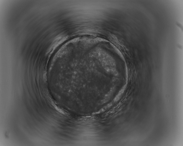X0000091460050200709131741