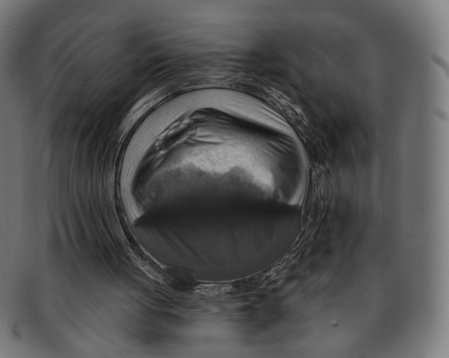 X0000091460051200709131741