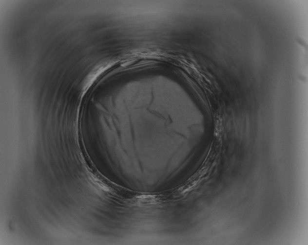X0000091460052200709131741