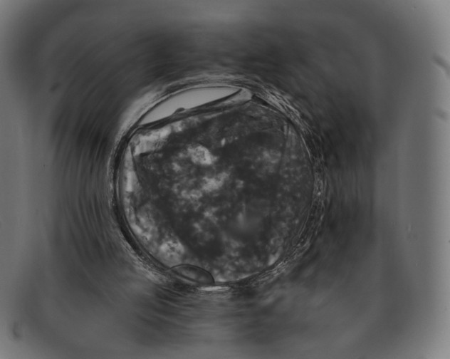 X0000091460053200709131741