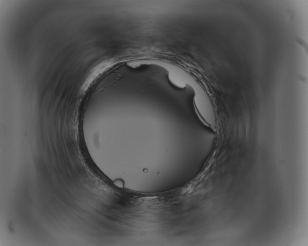 X0000091460054200709131741
