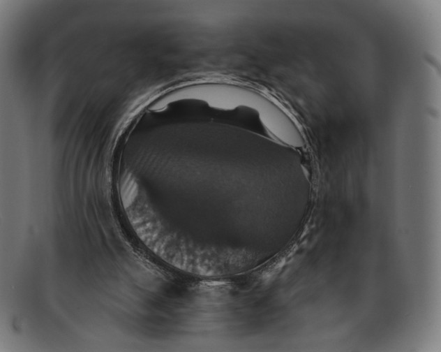 X0000091460055200709131741